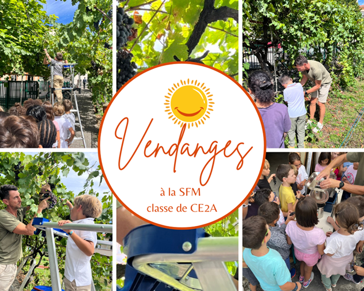 Vendanges